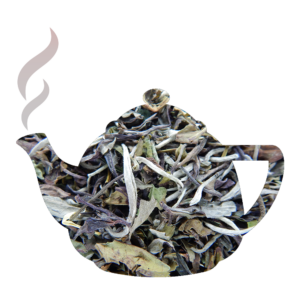 Thé blanc Pai Mu Tan